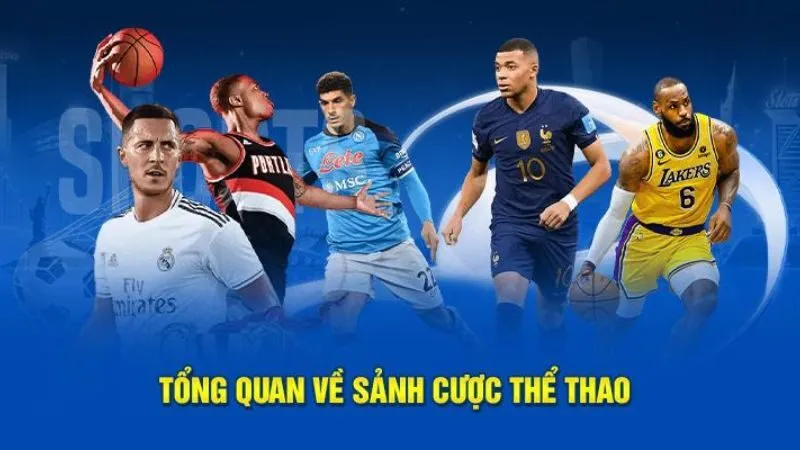 Sơ lược về thể thao W365