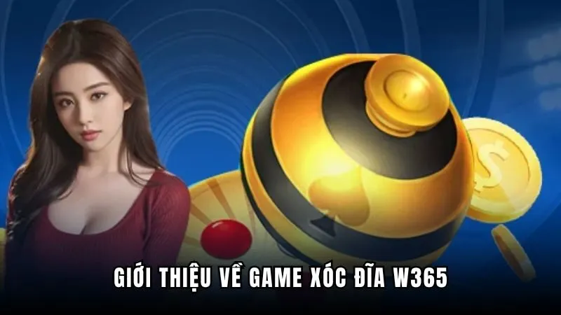 Giới thiệu nhanh về xóc đĩa W365